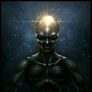 Meet your Posher, Nathan